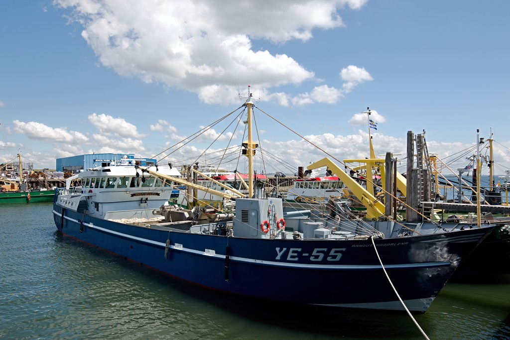 yerseke mossel oester mossels oesters oesterputten hdr kweek zeeland oosterschelde visserij